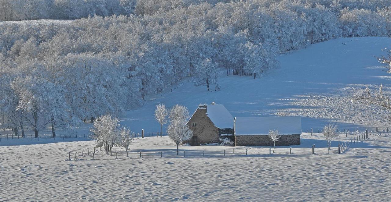 Bed and Breakfast Aux Portes D'Aubrac Studio 2 Personnes Condom-d'Aubrac Экстерьер фото